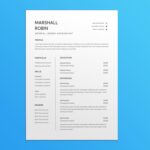 General Ledger Accountant Resume