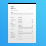 Grant Accountant Resume