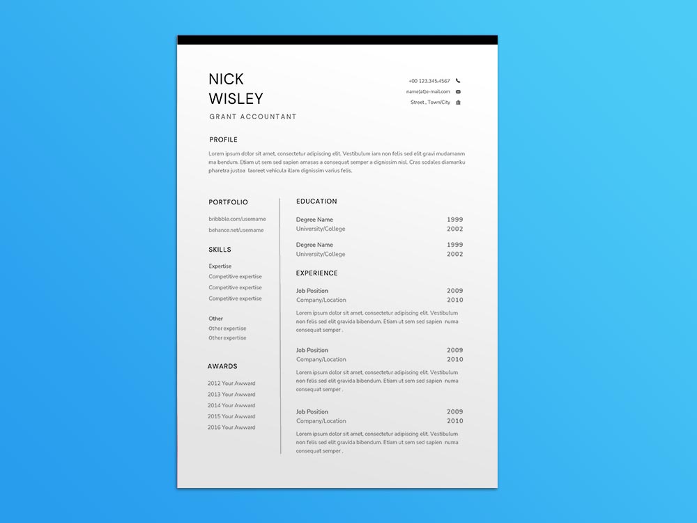 Free Grant Accountant Resume Template