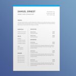 Hedge Fund Accountant Resume