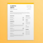 Hotel Accountant Resume