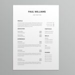 Income Auditor Resume