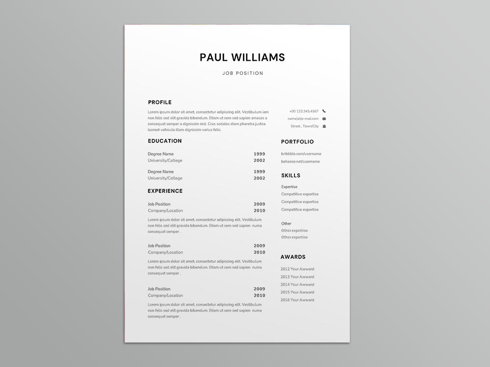 Free Income Auditor Resume Template
