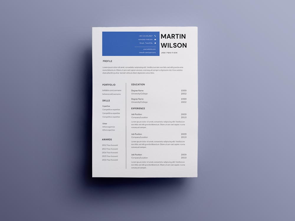 Free Internal Audit Manager Resume Template