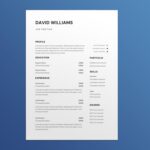 Lead Auditor Resume