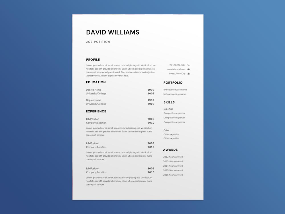 Free Lead Auditor Resume Template