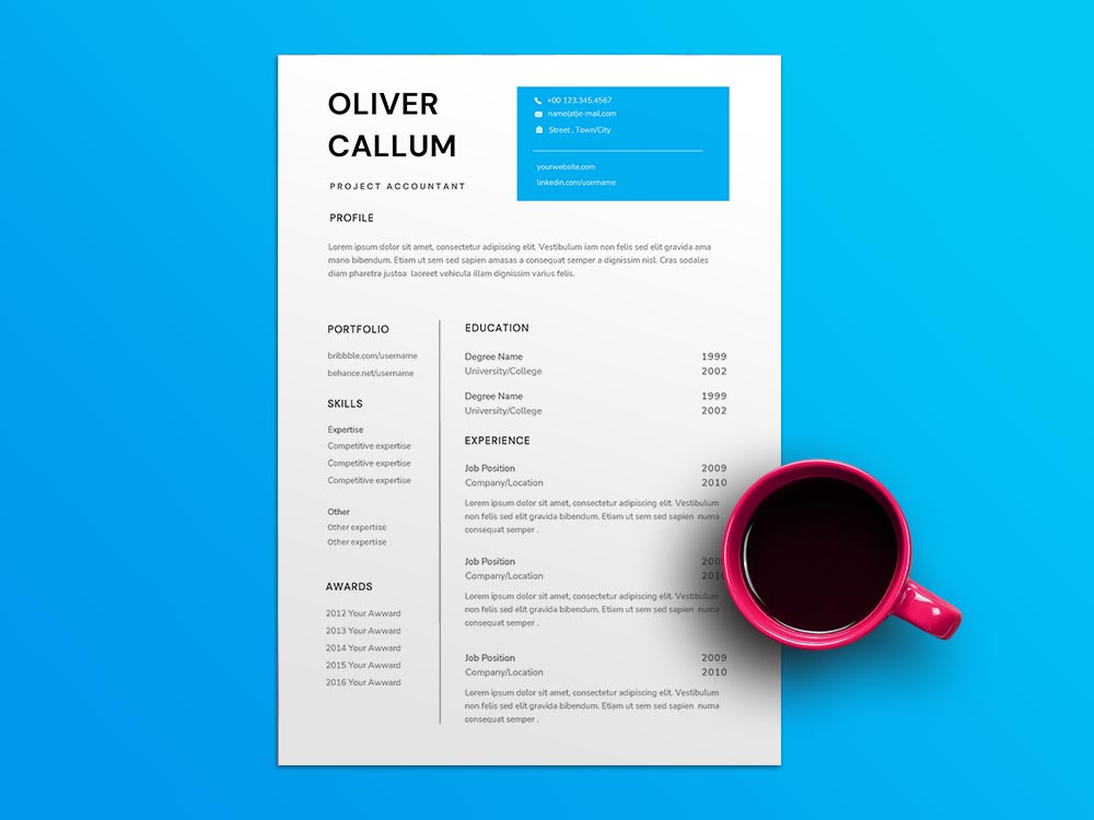 Free Project Accountant Resume Example Template