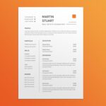 Real Estate Accountant Resume