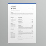 Receivable Accountant Resume