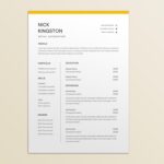 Retail Accountant Resume