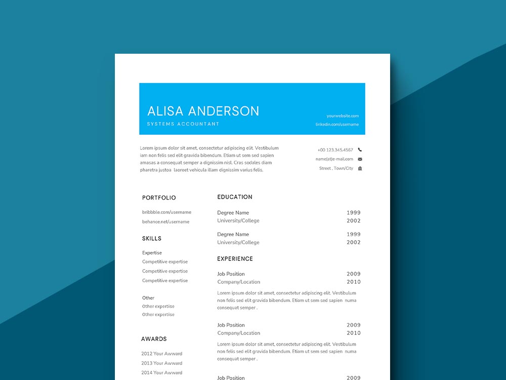 Free Systems Accountant Resume Template