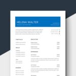 Trainee Accountant Resume