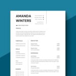 Admin Manager Resume