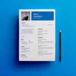 Bid Manager Resume