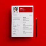 Board Member Resume