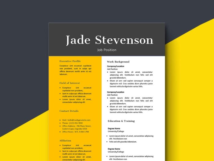 Free Corel Draw Resume Template in CDR File format