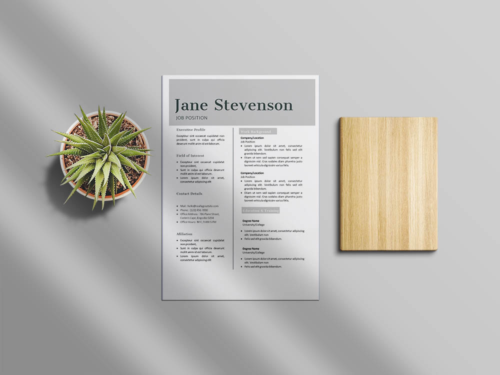 Free Administrative Professional Resume Sample Template for Your Next Career