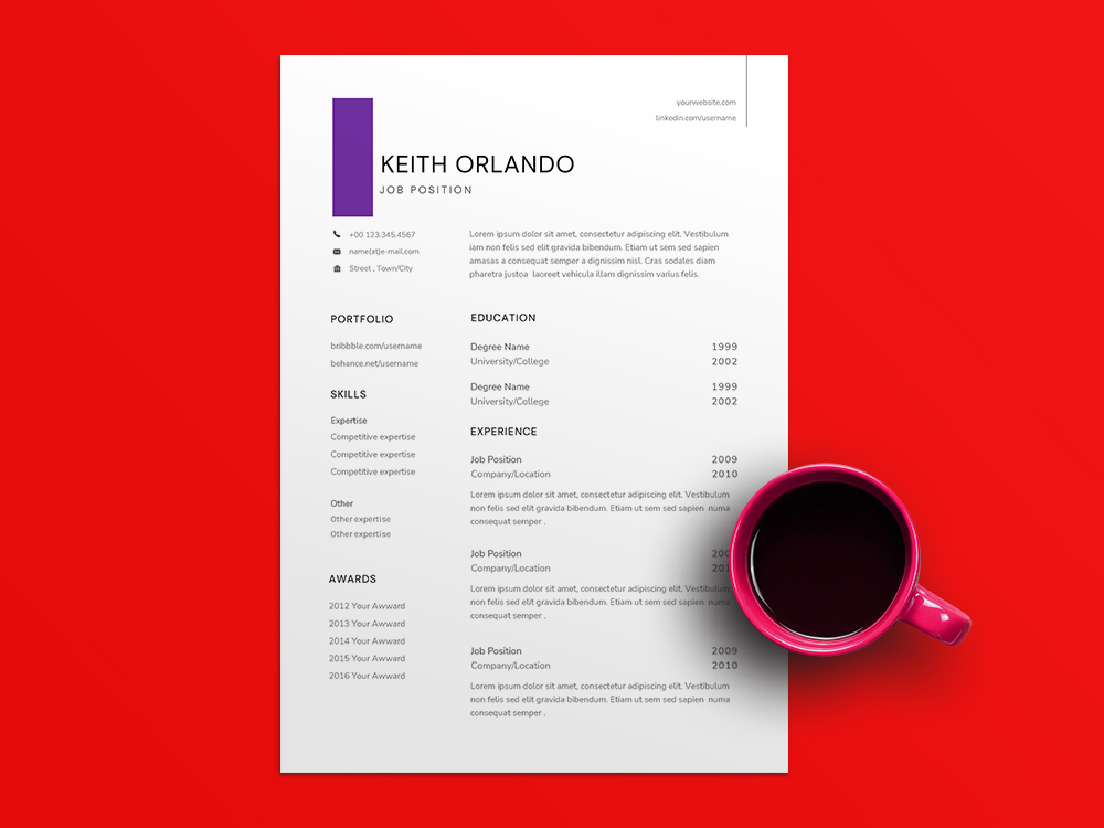 Free Assistant Program Manager Resume Template with Example for Job Seeker