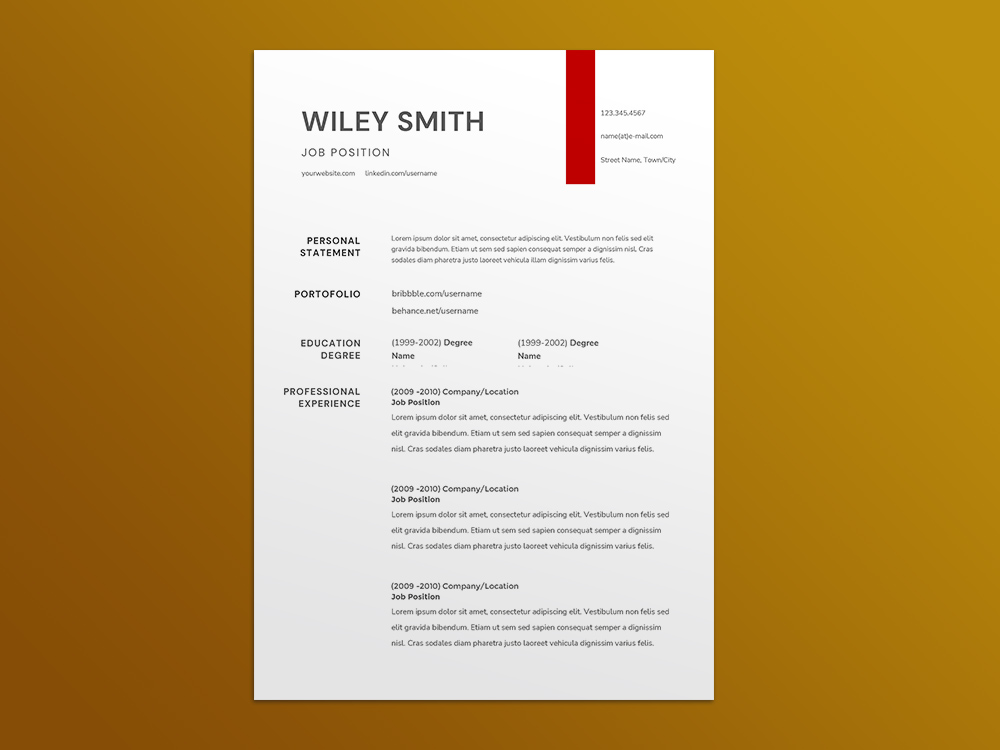 Free Assistant Project Coordinator Resume Template with Example for Job Seeker