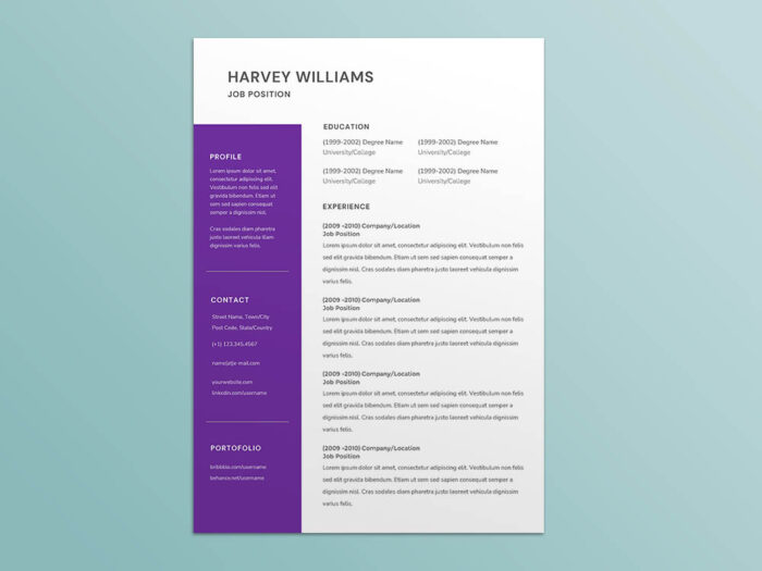 Free Classy Resume Template with Eye Catching Design