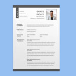 Car Rental Agent Resume