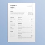 Cash Manager Resume