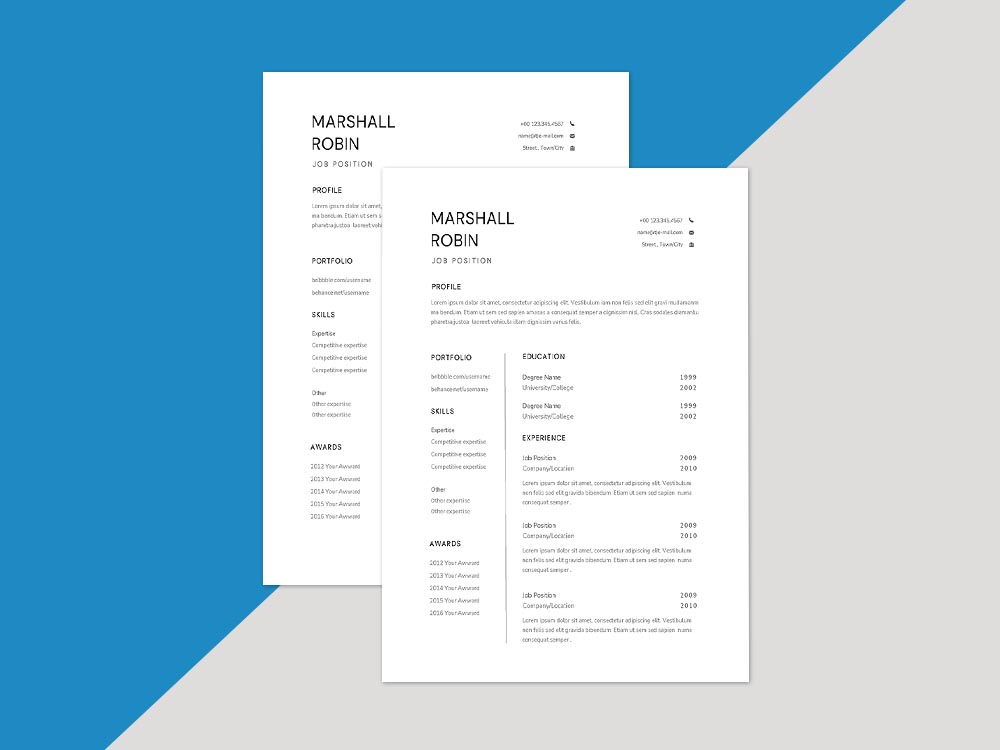 Free Corporate Controller Resume Template with Example for Job Seeker