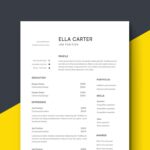 Recreation Director Resume