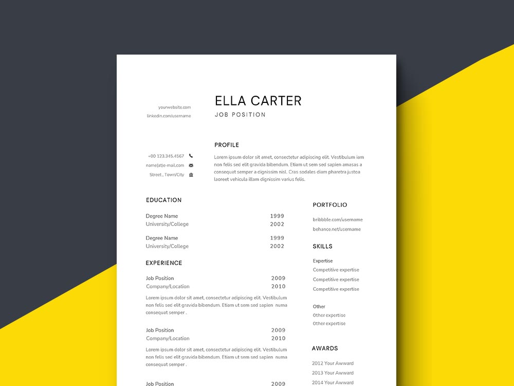 Free Recreation Director Resume Example Template for Your Job Opportunity