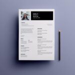 Functional Manager Resume