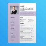 Project Executive Resume