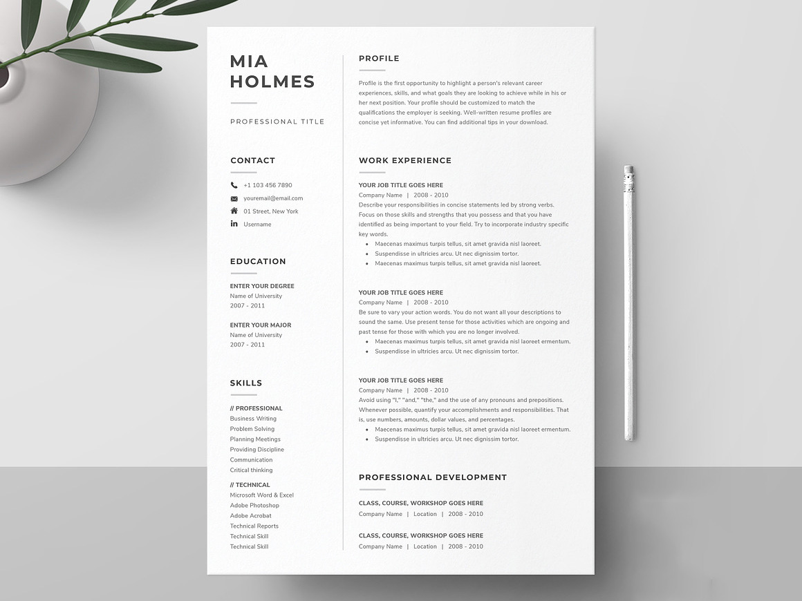 Financial Planner Resume Template