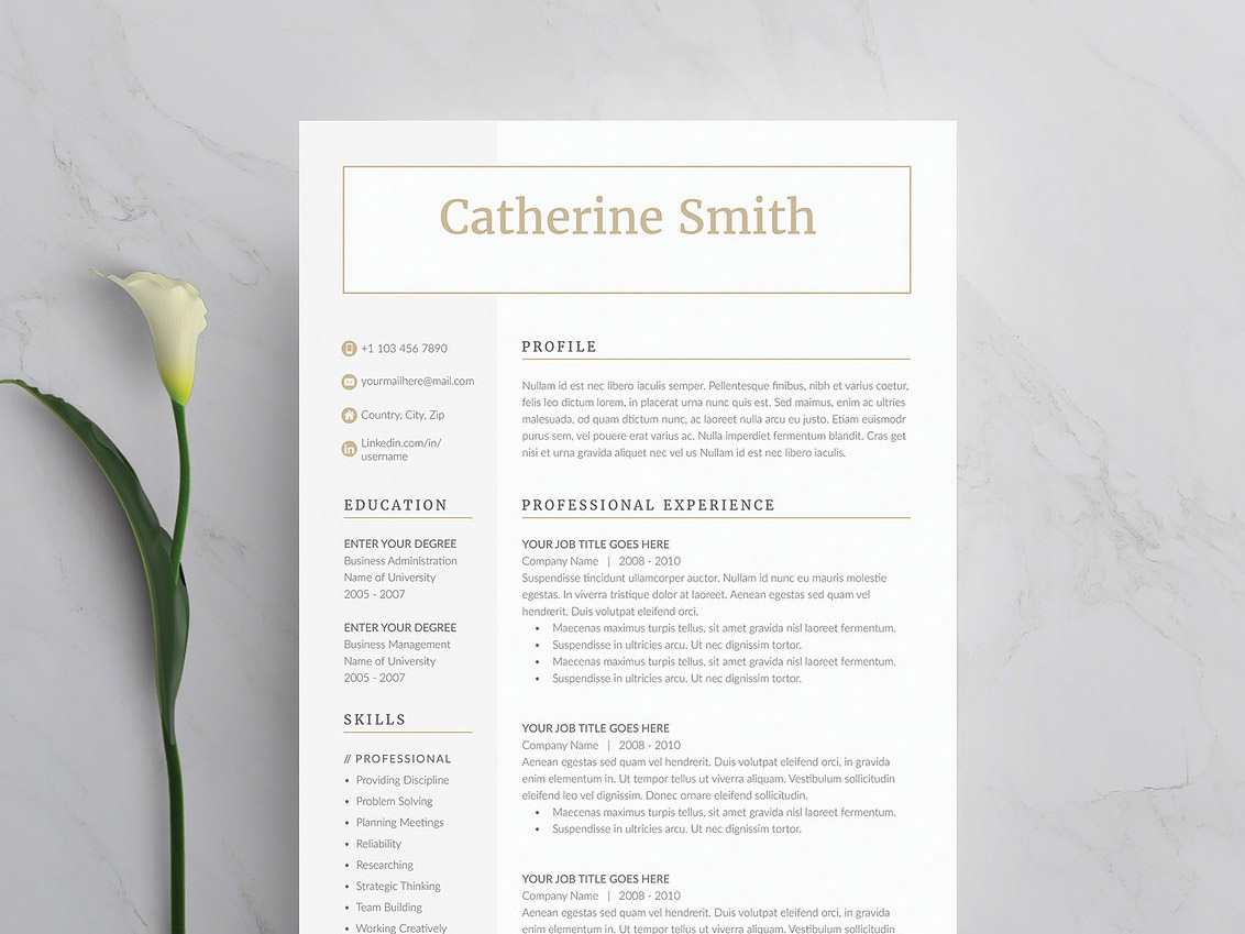 FinTech Analyst Resume Template – Modern ATS Resume for Digital Banking & Financial Technology Careers