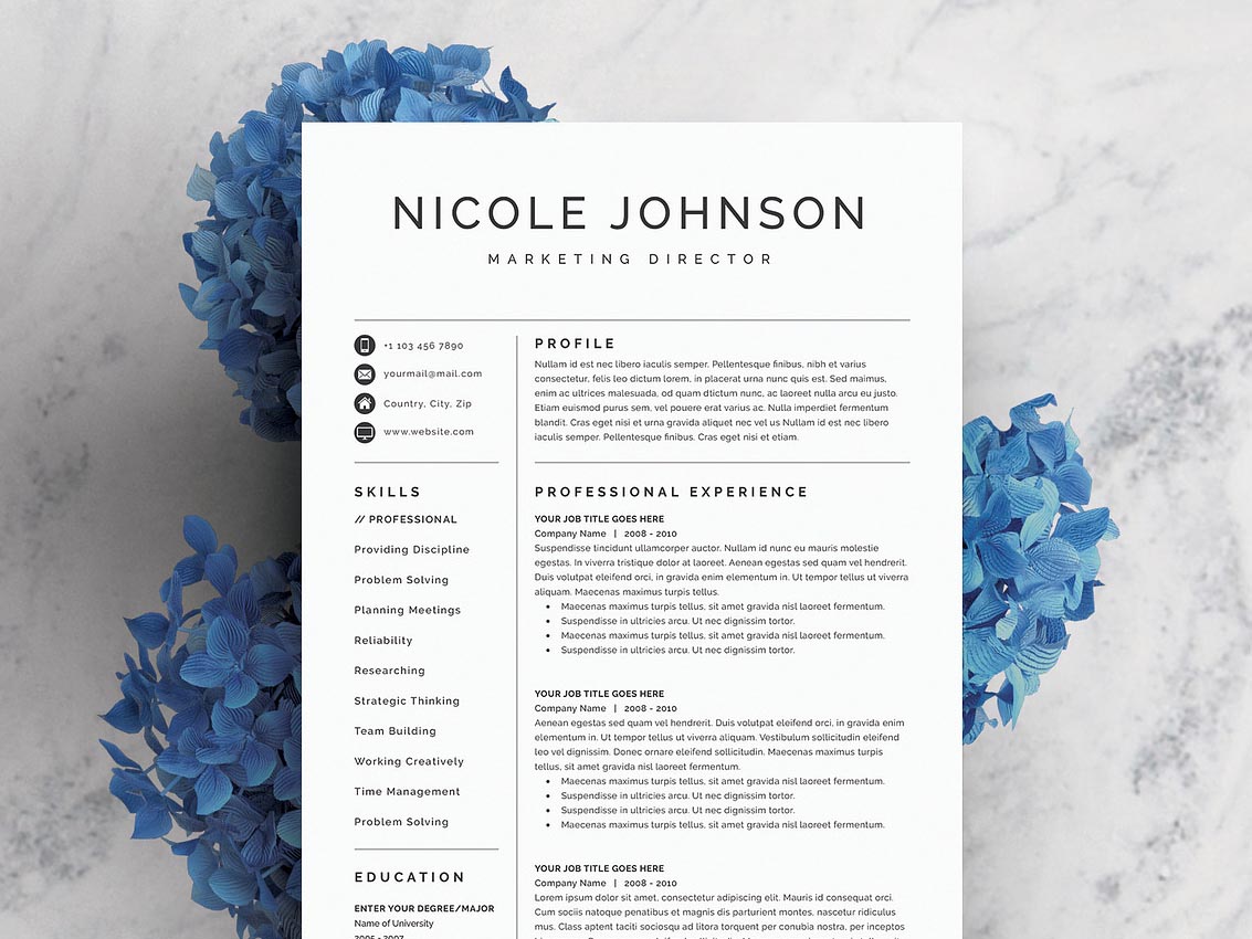 Financial Data Analyst Resume Template – ATS Resume for Finance, Business Intelligence & Data Analytics
