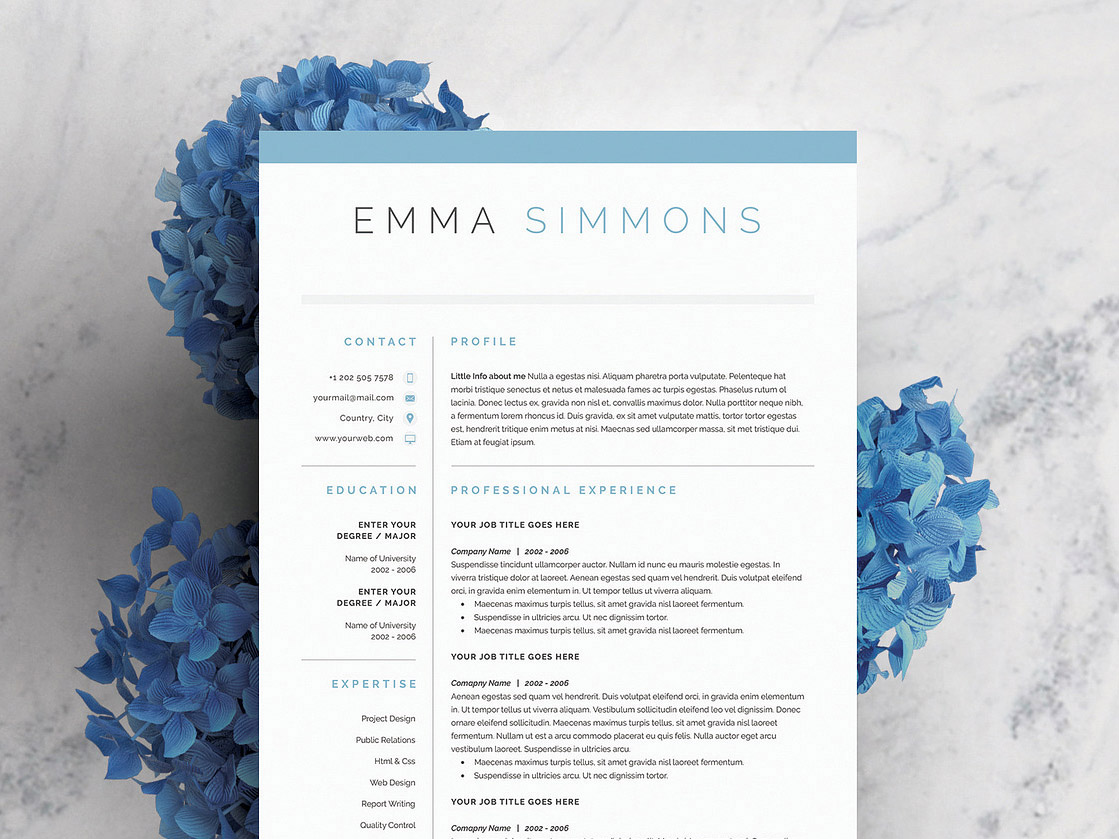Financial Systems Analyst Resume Template – ATS Resume for ERP, Finance Technology & Business Systems Careers