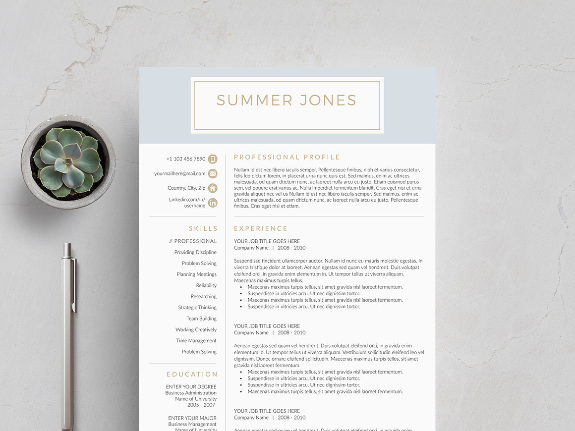 Risk Analyst Resume Template – Professional ATS Resume for Risk Management, Banking & Finance